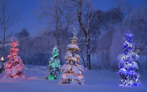 Enchanted_ Winter_ Evening Wallpaper