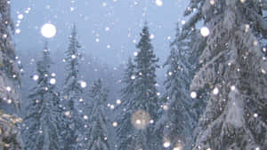 Enchanted_ Winter_ Forest_ Snowfall.jpg Wallpaper