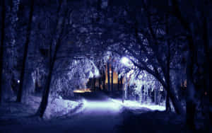 Enchanted_ Winter_ Night_ Path.jpg Wallpaper