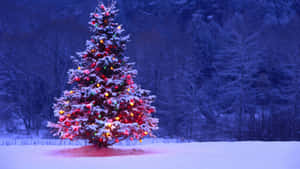 Enchanting 3d Christmas Scene Wallpaper