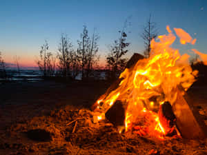 Enchanting Beach Bonfire Under A Starry Sky Wallpaper