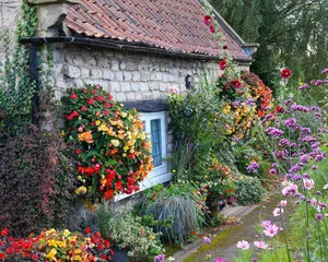Enchanting Cottage Garden In Full Bloom Wallpaper