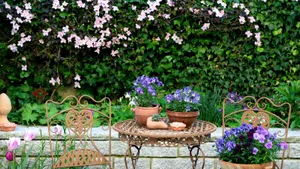 Enchanting Cottage Garden In Full Bloom Wallpaper