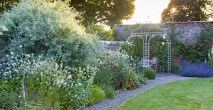 Enchanting Cottage Garden In Full Bloom Wallpaper