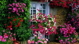 Enchanting Cottage Garden In Full Bloom Wallpaper