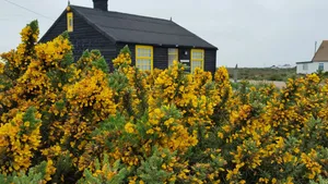 Enchanting Cottage Garden In Full Bloom Wallpaper