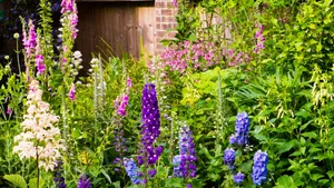 Enchanting Cottage Garden In Full Bloom Wallpaper