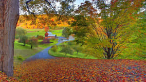 Enchanting Fall Farmhouse Amidst Autumn Colors Wallpaper