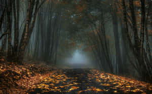 Enchanting Fall Mist In The Forest Wallpaper