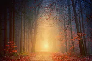 Enchanting Fall Mist Over A Serene Lake Wallpaper