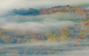 Enchanting Fall Mist Over Scenic Forest Wallpaper