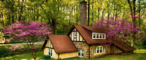 Enchanting Forest Cottage Springtime Wallpaper