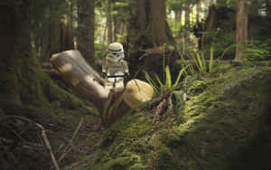 Enchanting Forest Landscape Of Endor Wallpaper