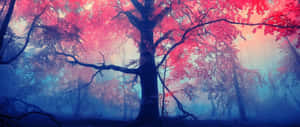 Enchanting Forest Red Ultra Wide Hd Wallpaper