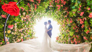 Enchanting Garden Wedding Ceremony Setup Wallpaper