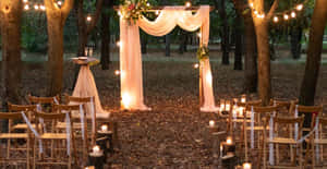 Enchanting Garden Wedding Ceremony Setup Wallpaper