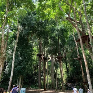 Enchanting Green Jungle Wallpaper