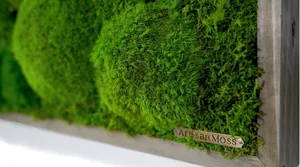 Enchanting Green Moss Landscape Wallpaper
