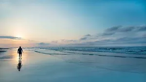 Enchanting Nature Displaying Eternal Life Wallpaper