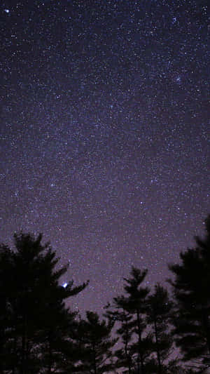 Enchanting Nightscape Under The Dark Sky Wallpaper