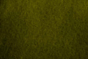 Enchanting Olive Green Forest Wallpaper
