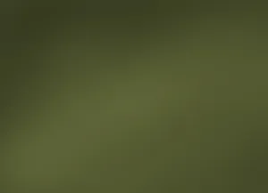 Enchanting Olive Green Landscape Wallpaper