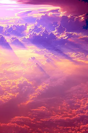 Enchanting Pink Sky At Sunset Wallpaper