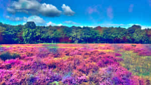 Enchanting Psychedelic Nature Scene Wallpaper