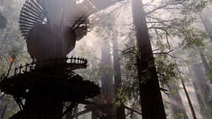 Enchanting Scenery Of Endor's Dense Forest Landscape Wallpaper