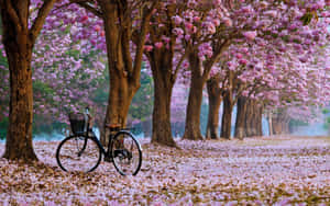 Enchanting Spring Bloom Landscape Wallpaper