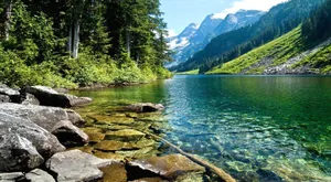 Enchanting Spring River Amidst Lush Green Scenery Wallpaper