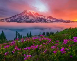 Enchanting Spring Sunset Wallpaper