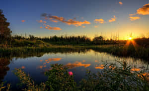 Enchanting Spring Sunset In Serene Nature Wallpaper