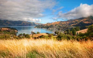 Enchanting Summer Landscape Wallpaper