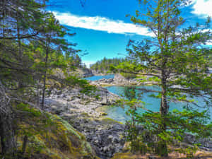 Enchanting Sunshine Coast Sunset Wallpaper