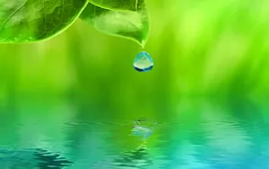 Enchanting Waterfall In Lush Green Forest Wallpaper