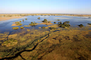 Enchanting Wilderness Of Okavango Delta Wallpaper