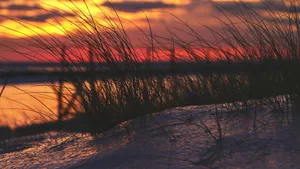 Enchanting Winter Sunset In The Snowy Landscape Wallpaper