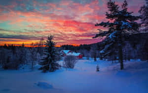 Enchanting Winter Sunset Wallpaper