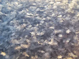 Enchanting Winter Wonderland Wallpaper