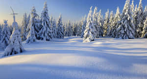 Enchanting Winter Wonderland Wallpaper