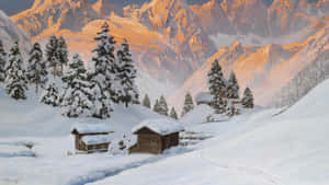 Enchanting Winter Wonderland Wallpaper