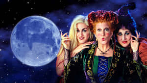 Enchanting Witches Moonlit Night Wallpaper