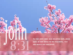 Encourage Yourself With God's Word Wallpaper