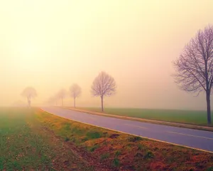 Endless Horizon Of Rolling Hills And Luscious Green Trees Wallpaper
