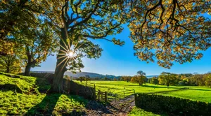 English Country Side 4k Ultra Hd Landscape Wallpaper