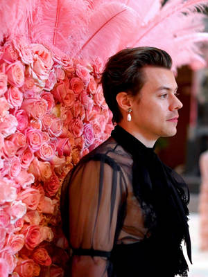 English Singer Harry Styles At Met Gala Wallpaper