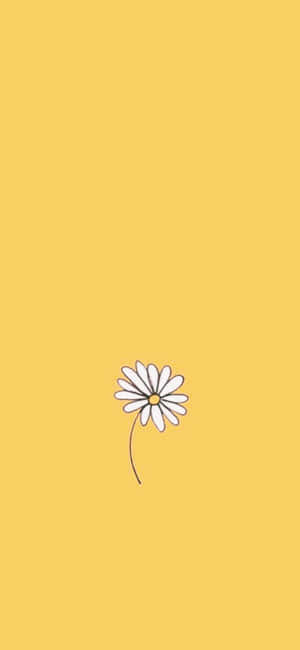 Enhance The Beauty Of Your Iphone With This Inspirational Sunflower Aesthetic Wallpaper Wallpaper