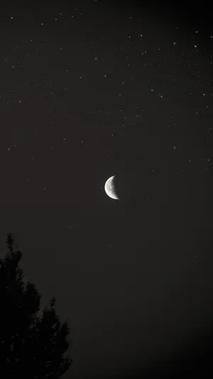 Enigmatic Black And White Star Wallpaper