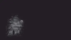 Enigmatic Dark Corner In A Forest Wallpaper